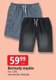 Bermudy męskie Tissaia