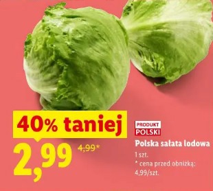 Polska sałata lodowa