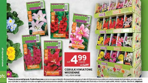 Cebulki kwiatowe wiosenne