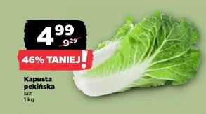 Kapusta pekińska