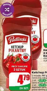 Ketchup Pudliszki