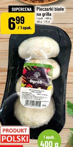 Pieczarki białe na grilla