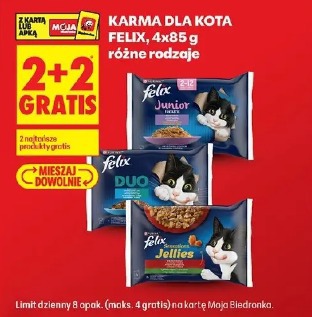 Karma dla kota Felix 4x85 g różne rodzaje