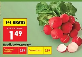 Rzodkiewka pęczek