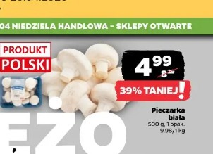 Pieczarka biała