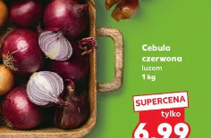 Cebula czerwona