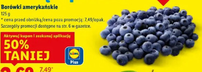 Borówki amerykańskie