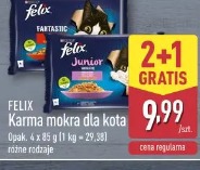 Felix Karma mokra dla kota