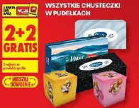 Wszystkie chusteczki w pudełkach