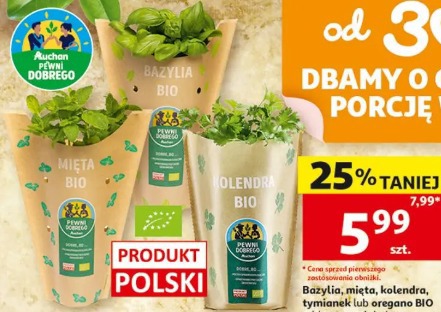 Bazylia, mięta, kolendra, tymianek lub oregano BIO Pewni Dobrego