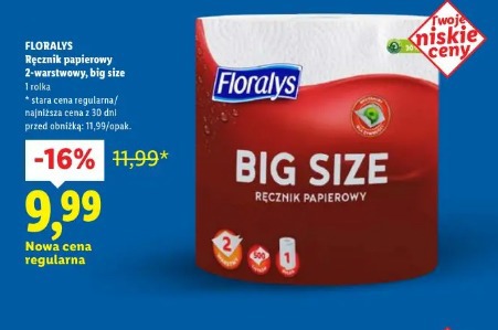 Floralys Ręcznik papierowy 2-warstwowy, big size