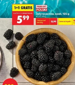 Jeżyna polska