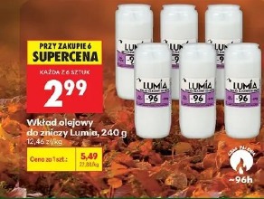 Wkład olejowy do zniczy Lumia