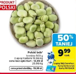 Polski bób