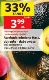 Awokado odmiana Hass, dojrzałe – duże owoce