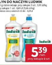Płyn do naczyń Ludwik