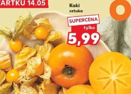 Kaki