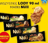 Wszystkie lody 90 ml marki Nuii