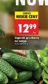 Ogórek gruntowy