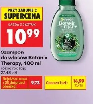 Szampon do włosów Botanic Therapy