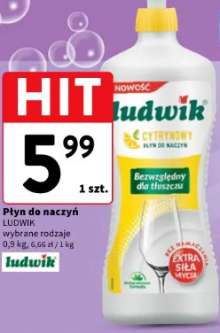 Płyn do naczyń Ludwik