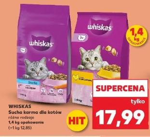 Whiskas Sucha karma dla kotów