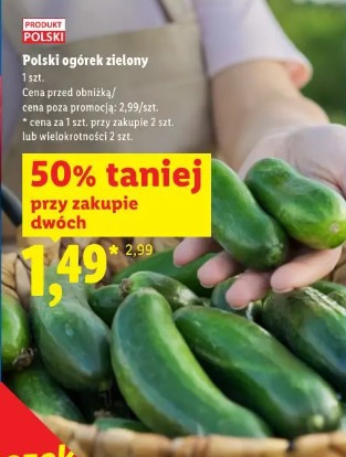 Polski ogórek zielony