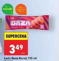 Lody Baza Koral
