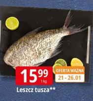 Leszcz tusza