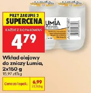 Wkład olejowy do zniczy Lumia