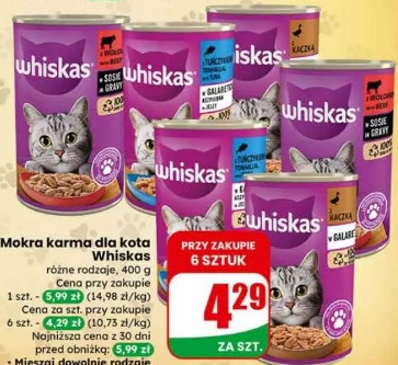 Mokra karma dla kota Whiskas