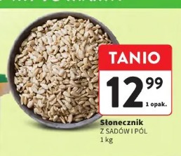 Słonecznik Z Sadów i Pól