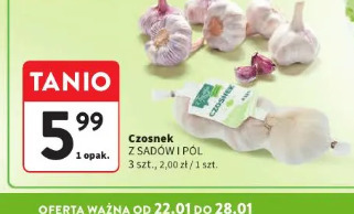 Czosnek Z Sadów i Pól