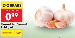 Czosnek lub Czosnek Polski