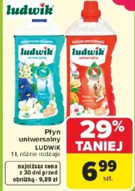 Ludwik płyn uniwersalny