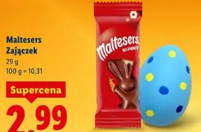 Maltesers Zajączek