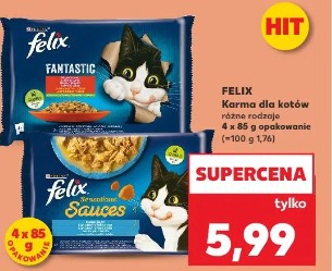 Felix Karma dla kotów