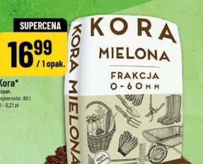 Kora