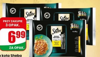 Mokra karma dla kota Sheba