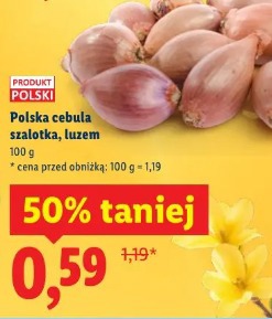 Polska cebula szalotka
