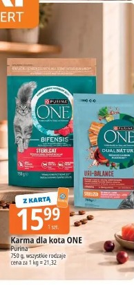 Karma dla kota ONE Purina