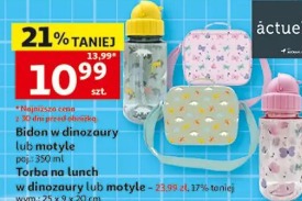 Torba na lunch w dinozaury lub motyle