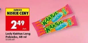 Lody Kaktus Long Polewka