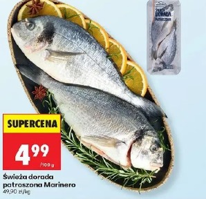 Świeża dorada patroszona Marinero