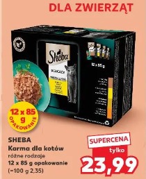 Sheba Karma dla kotów