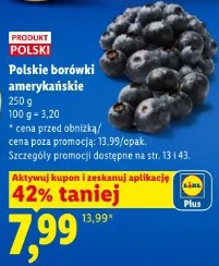 Polskie borówki amerykańskie