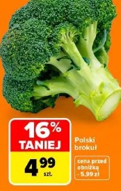 Polski brokuł