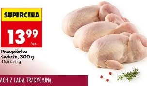 Przepiórka świeża