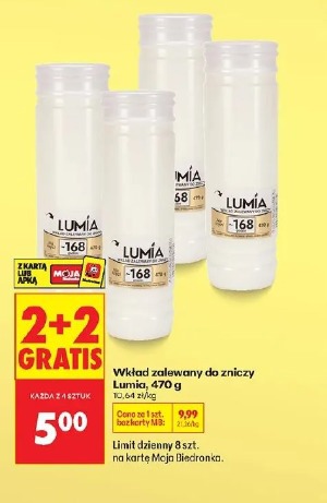 Wkład zalewany do zniczy Lumia