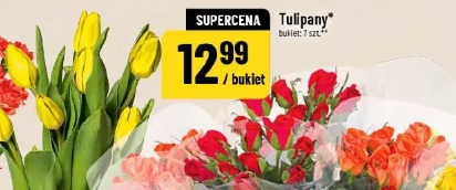 Tulipany
